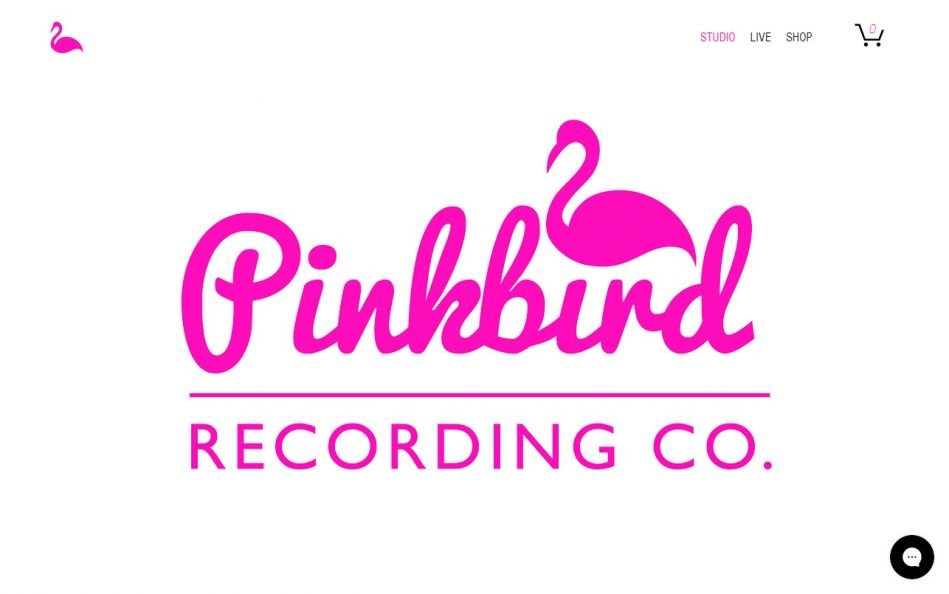 Pink Bird Recording Co. | East LondonのWEBデザイン