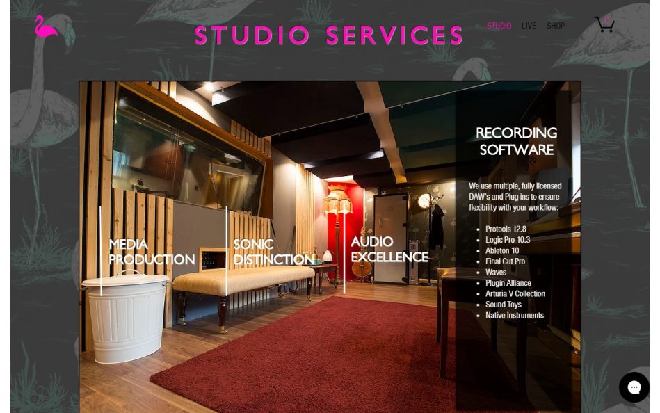 Pink Bird Recording Co. | East LondonのWEBデザイン