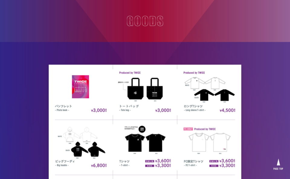TWICE WORLD TOUR 2019‘TWICELIGHTS’IN JAPAN｜TWICE OFFICIAL SITEのWEBデザイン
