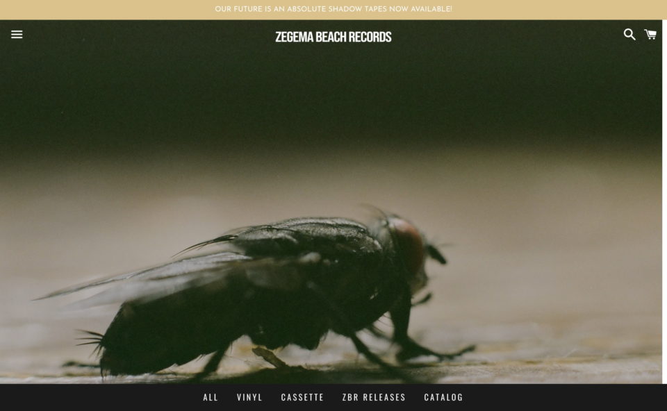 Zegema Beach Records – ZEGEMA BEACH RECORDSのWEBデザイン