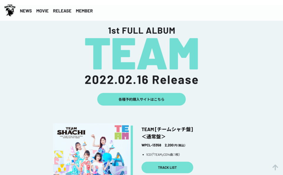 TEAM SHACHI 1st Full Album｢TEAM｣のWEBデザイン