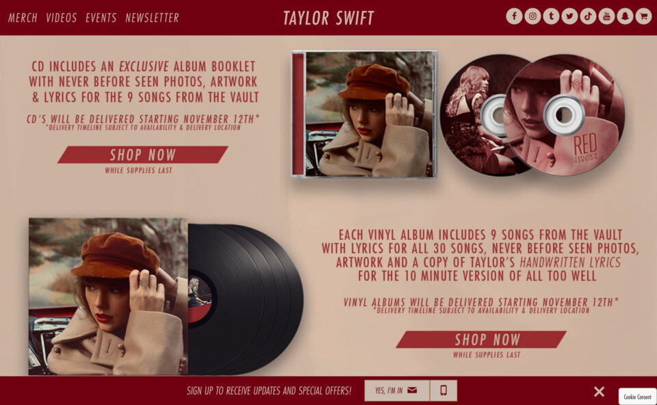 Taylor Swift | HomeのWEBデザイン