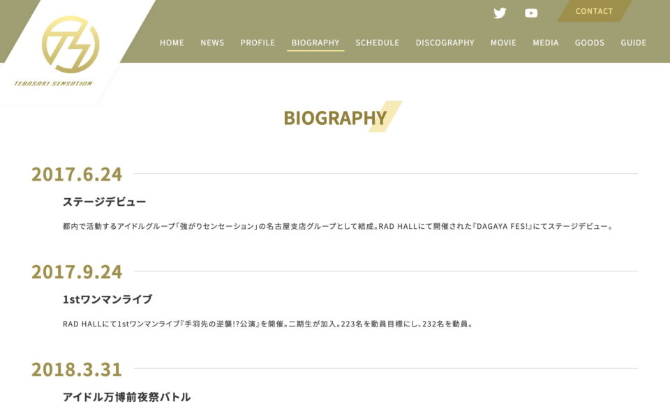 手羽先センセーション オフィシャルサイトのWEBデザイン