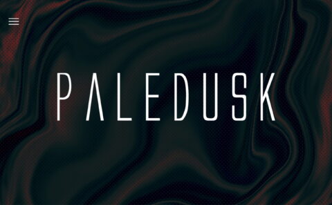 Paledusk OFFICIAL WEB SITEのWEBデザイン