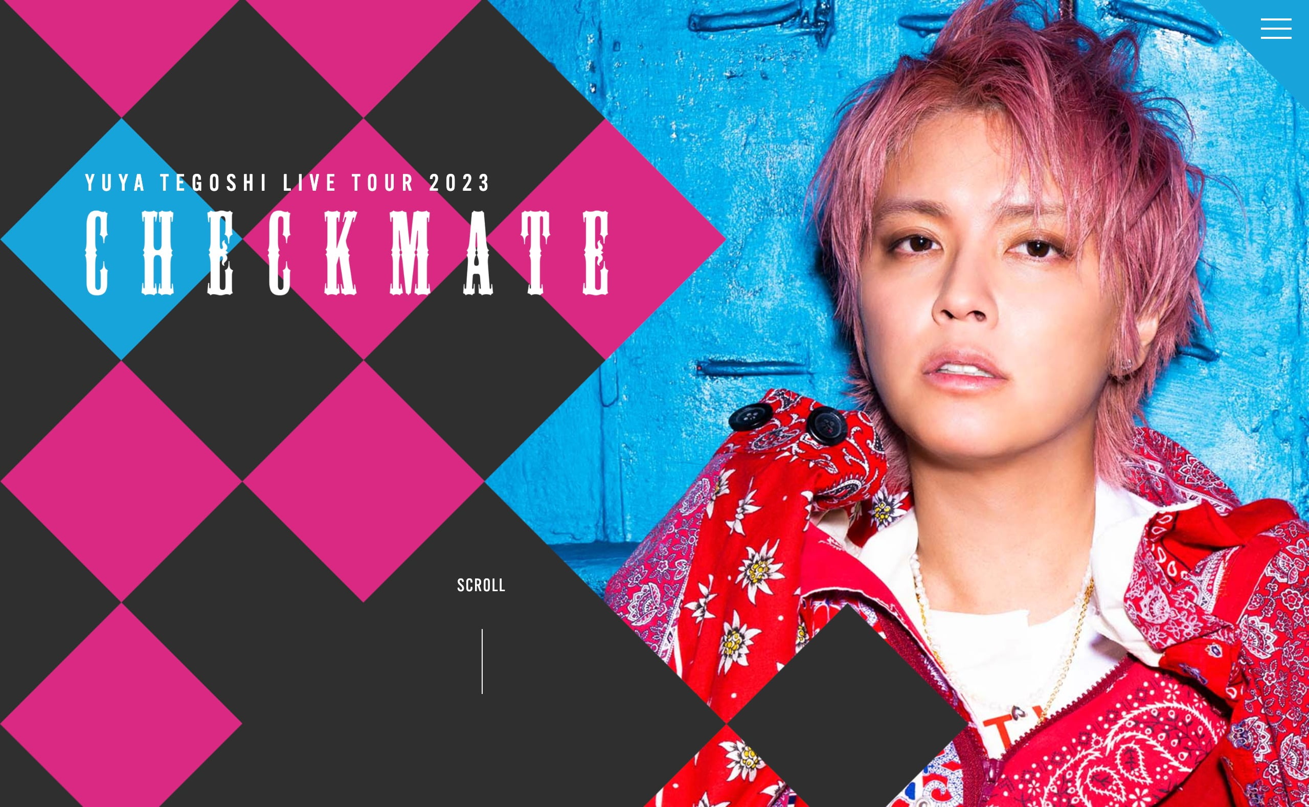 手越祐也 FC限定 YUYA TEGOSHI CLIPS Amazon.co.jp: 手越祐也 YUYA TEGOSHI CLIPS FC会員限定 : おもちゃ