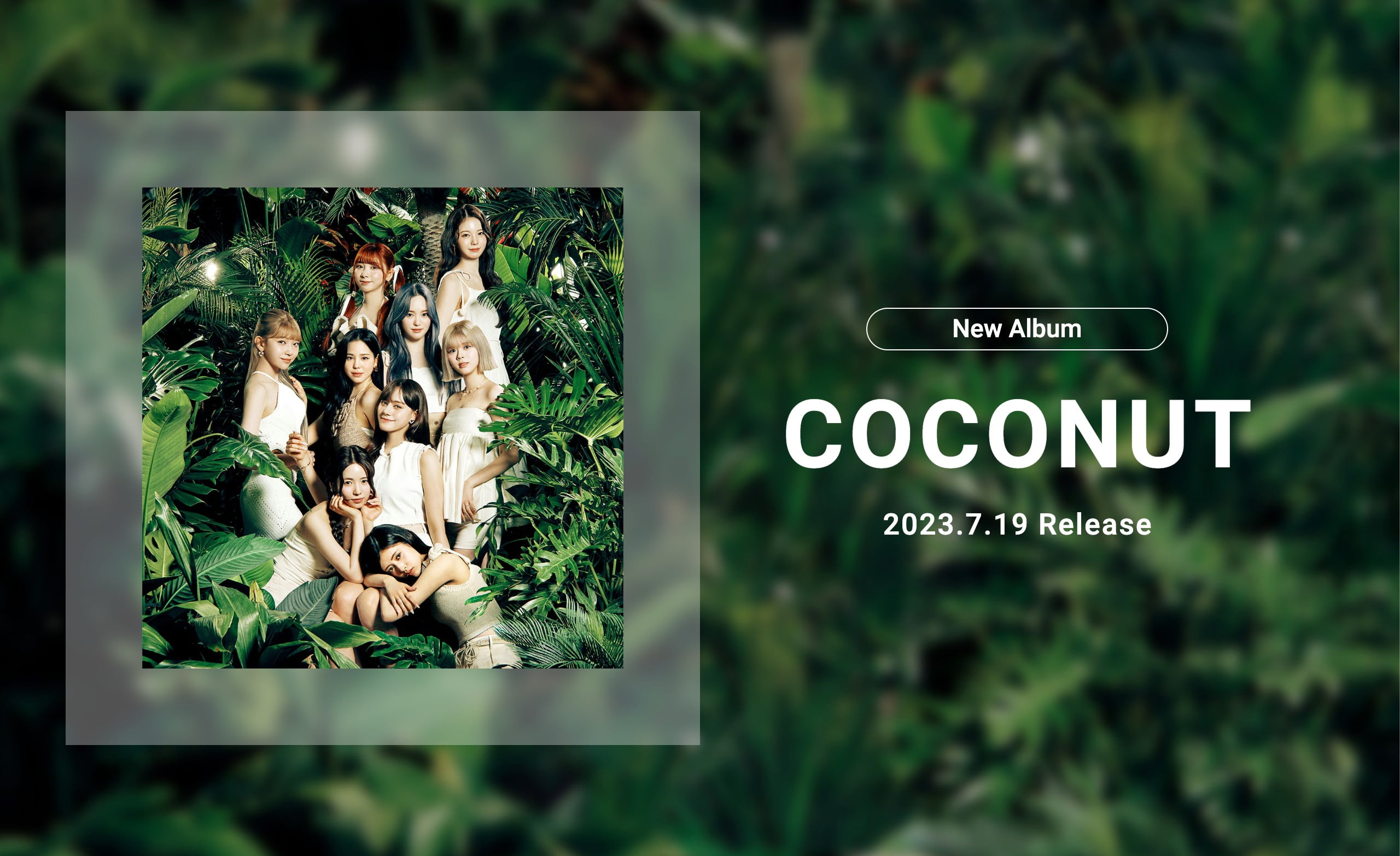 NiziU coconut シリアル　5枚　未使用 ESCL000005840_SHOP__120_320_10