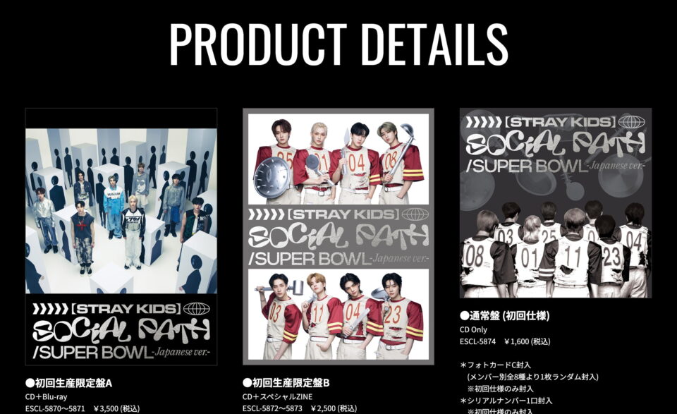 Stray Kids JAPAN 1st EP Special SiteのWEBデザイン