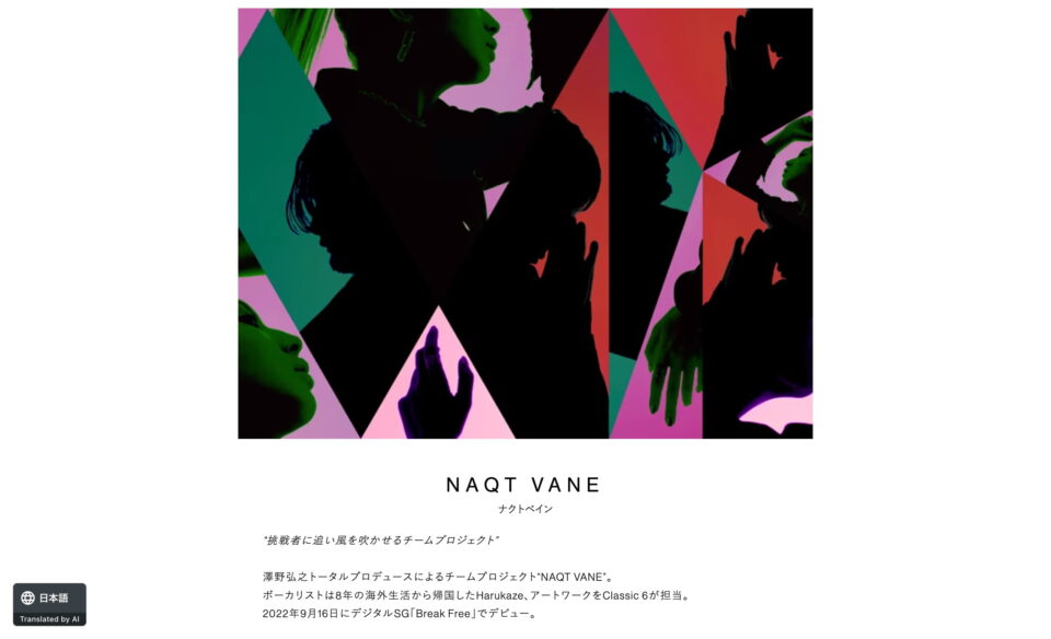 NAQT VANE Official WebsiteのWEBデザイン