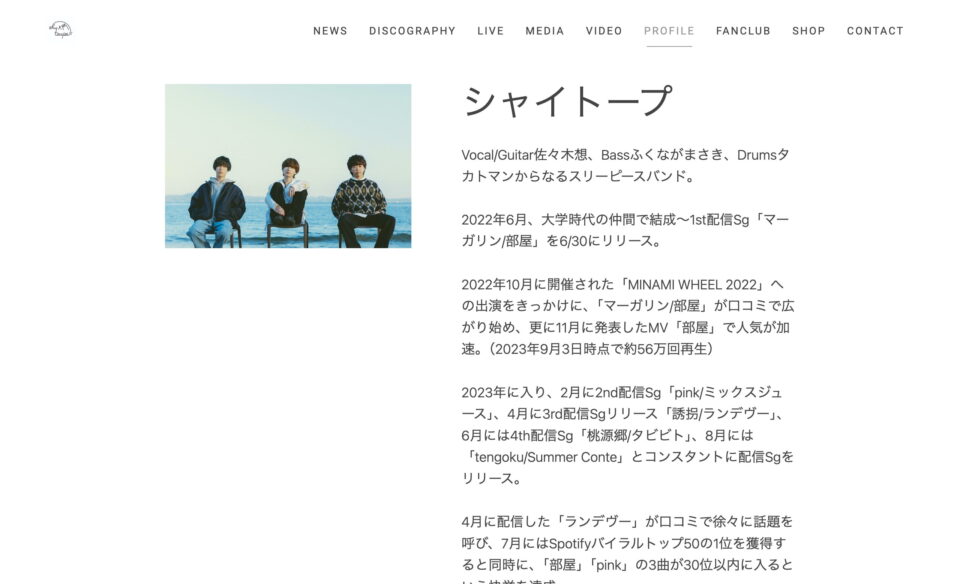 shytaupe official websiteのWEBデザイン