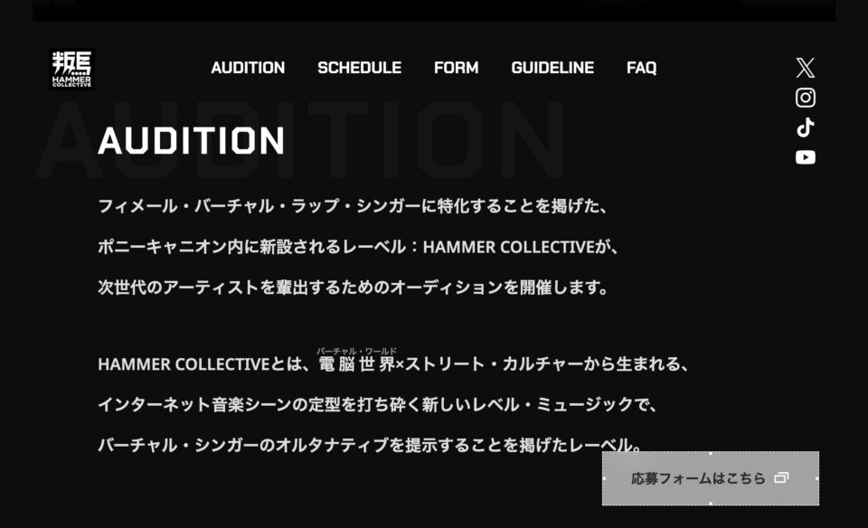 PONY CANYON INC. | HAMMER COLLECTIVE Presents V-Rap Singer Audition 2024のWEBデザイン