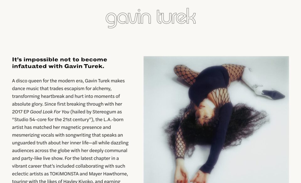 Gavin TurekのWEBデザイン