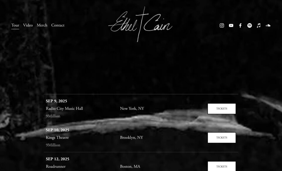 HERE LIES ETHEL CAINのWEBデザイン