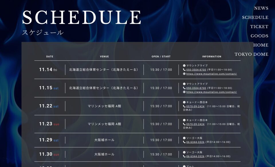 EIKICHI YAZAWA CONCERT TOUR「Do It！YAZAWA 2025」特設サイトのWEBデザイン