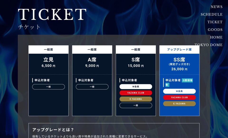 EIKICHI YAZAWA CONCERT TOUR「Do It！YAZAWA 2025」特設サイトのWEBデザイン