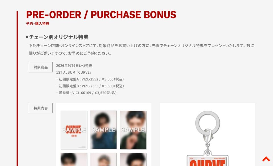 WILD BLUE ファーストアルバム「CURVE」 | SPECIAL SITEのWEBデザイン